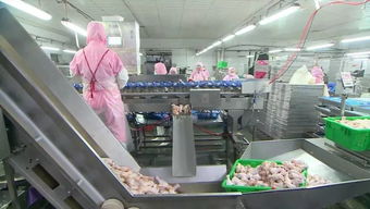 慶云和美食品銷(xiāo)售額突破2億元，產(chǎn)業(yè)興旺助力周邊就業(yè)改善